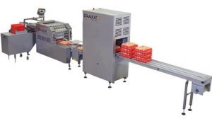 Egg packing box machine