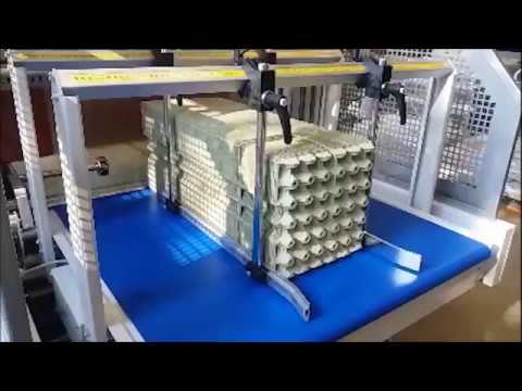 automatic egg packing machine