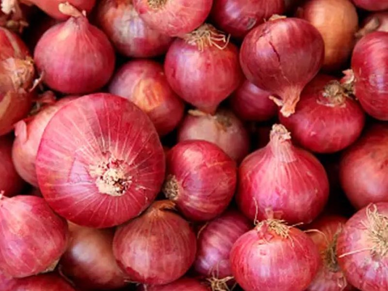  import onion from turkey