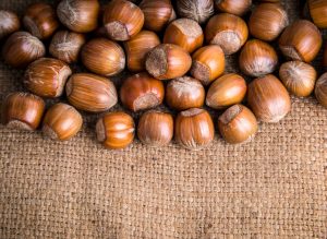 Hazelnut business in Turkey