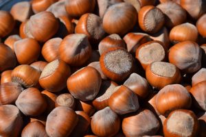Hazelnut producers in Turkey