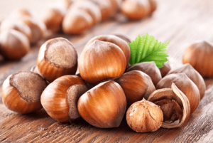  hazelnut business in Turkey