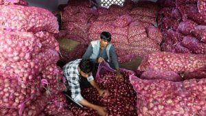 import onion from Turkey