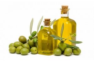 Italian olive oil price