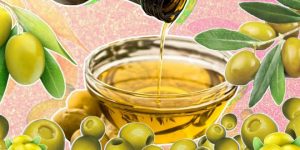 Italian olive oil supplier