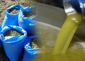 Olive oil suppliers Johannesburg