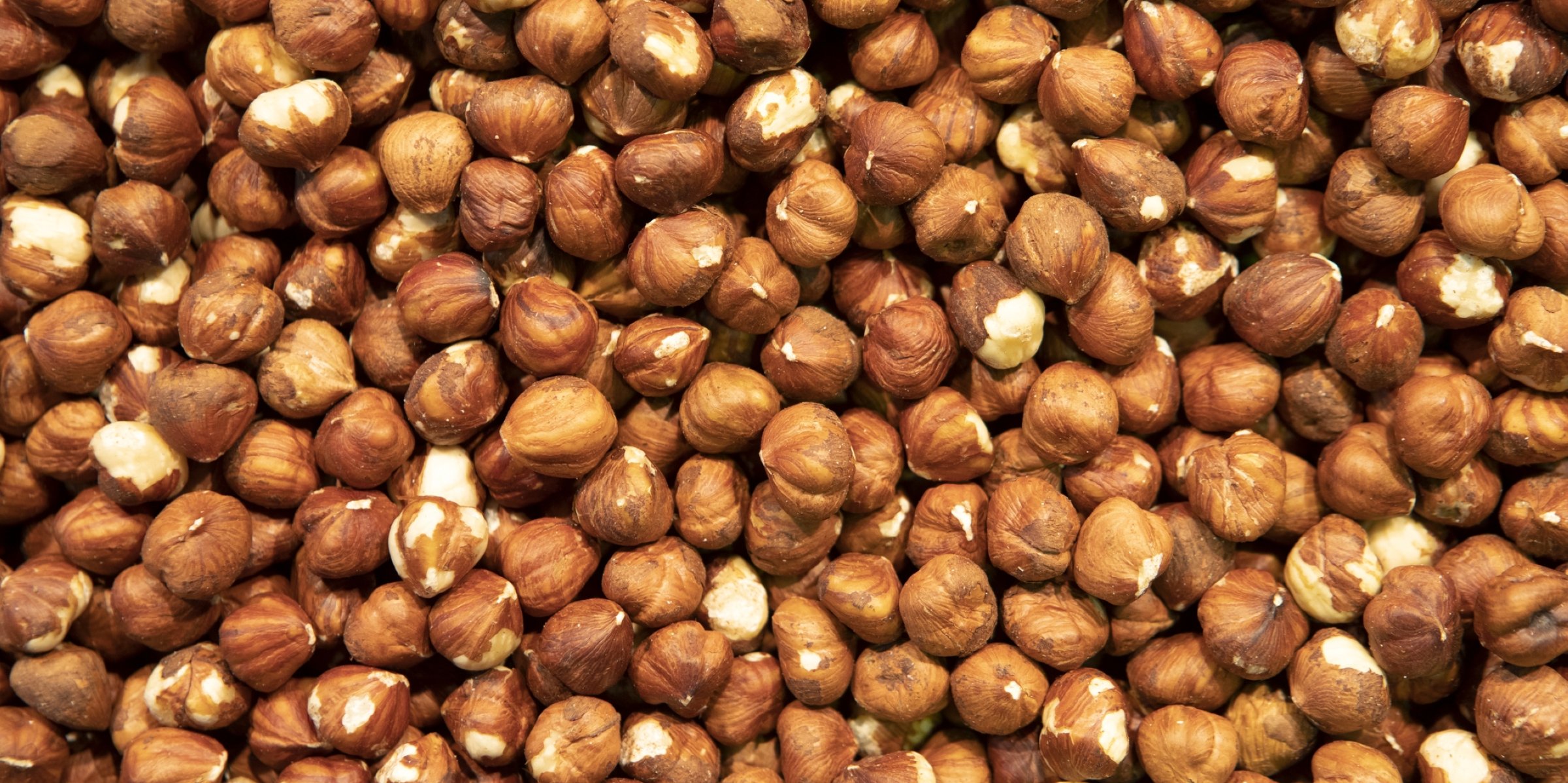 hazelnut price in Turkey