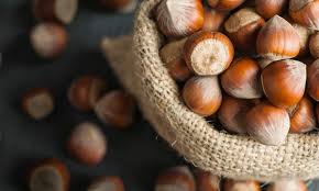 hazelnut wholesale