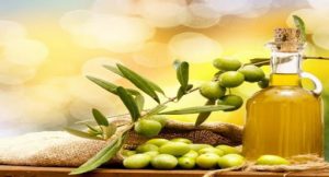 olive oil distributors