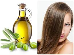 olive oil for hair shampoo