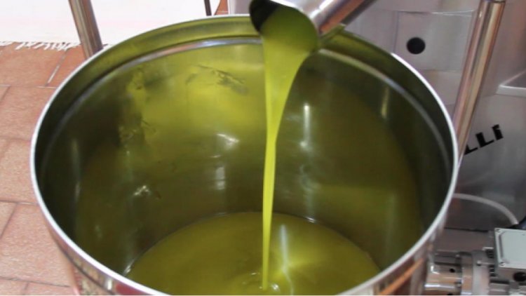 olive oil wholesale in UK