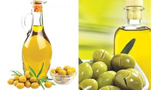 Olive Oil in Spain