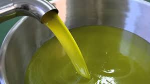 Olive oil producers in Morocco